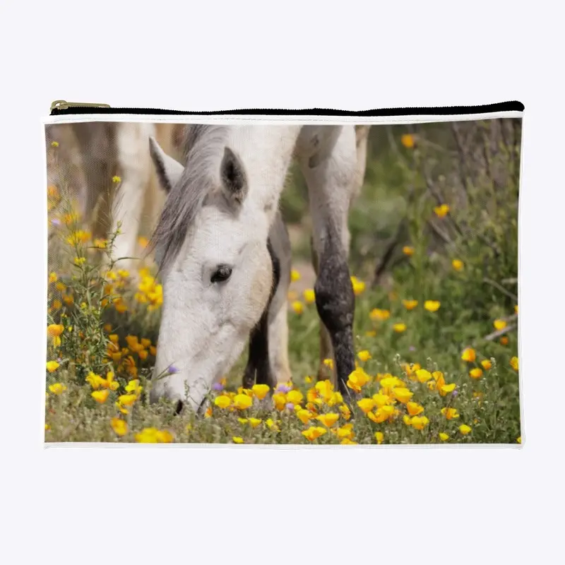 Young White Horse In Poppy Field