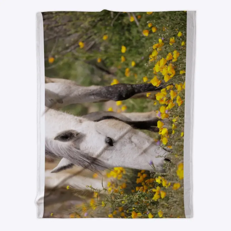 White Horse in Field of Poppies