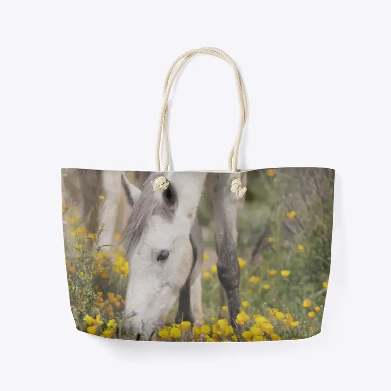 Young White Horse In Poppy Field